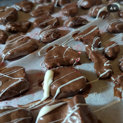 Freeze Dried Chocolate Strawberries